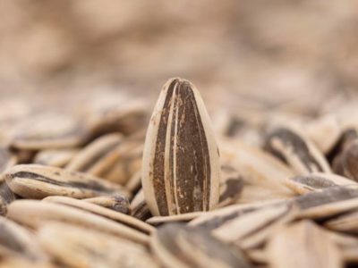 COSAS QUE PASAN AL FINAL