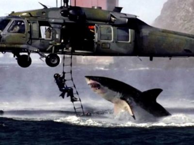 EL MEJOR POST DE LA HISTORIA