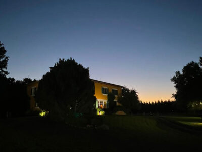 AY AY AY AY!! AY AY MI AMOR!!