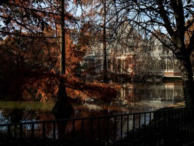 ES DOMINGO POR LA MAÑANA